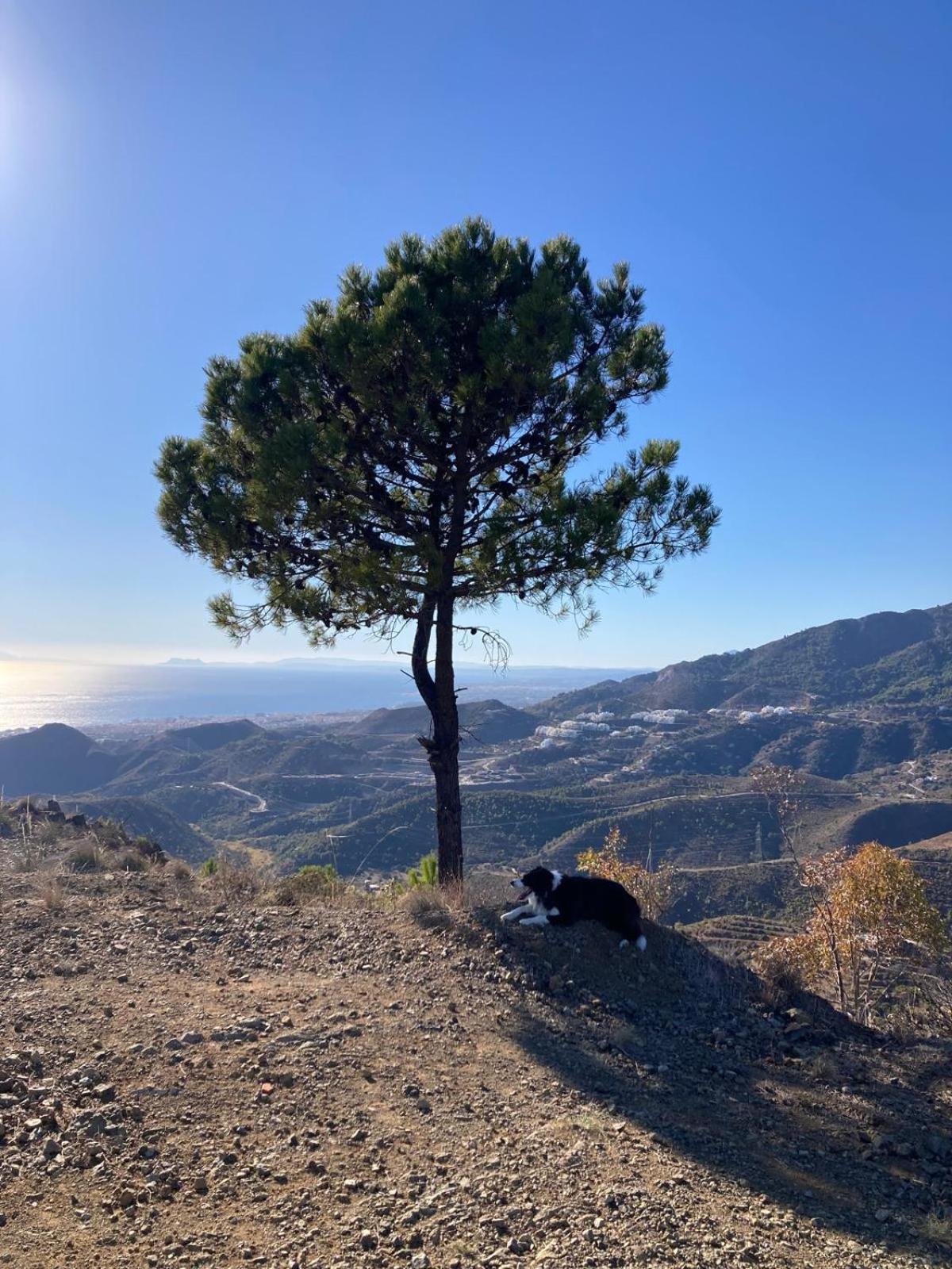 El Nido By Bh Marbella Apartment ภายนอก รูปภาพ